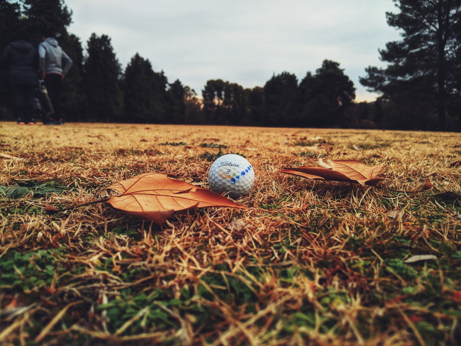 Spectator sues golfer and organisers after being hit on head with golf ball